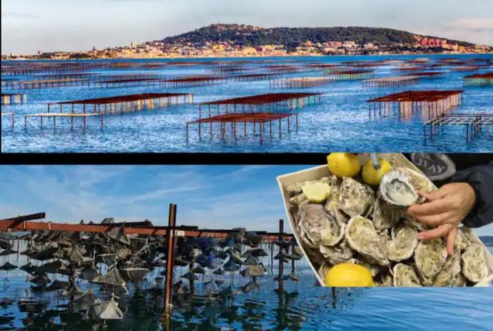 Charmant 2 pièces avec terrasse en bord de mer Leucate Esterno foto
