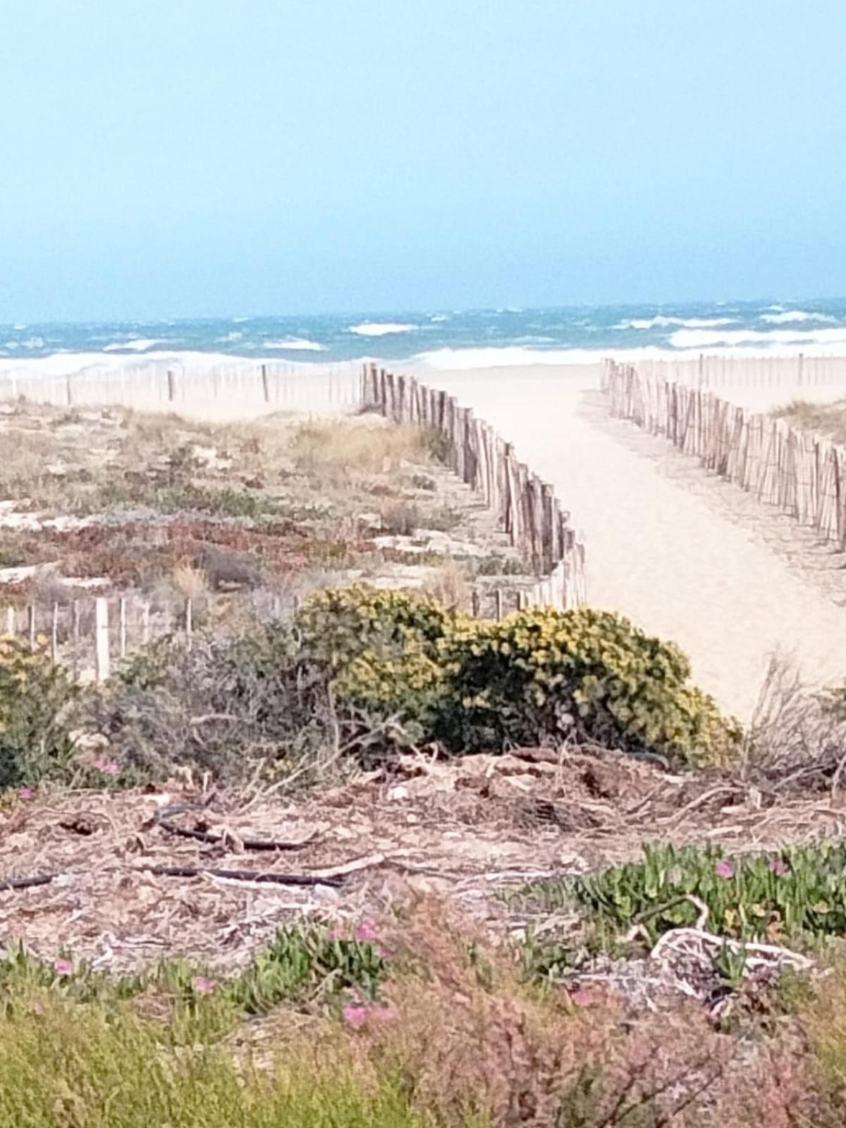 Charmant 2 pièces avec terrasse en bord de mer Leucate Esterno foto